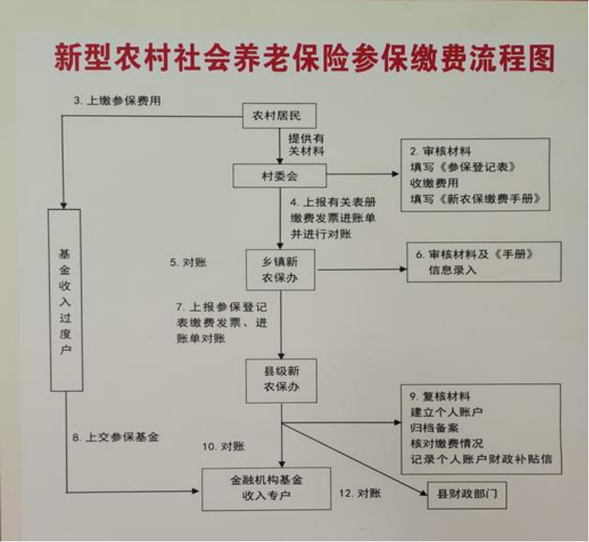 广元农村医保和社保有什么区别(农村医保跟社保的区别)